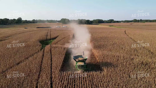 Aerial of Corn Harvest 149051
