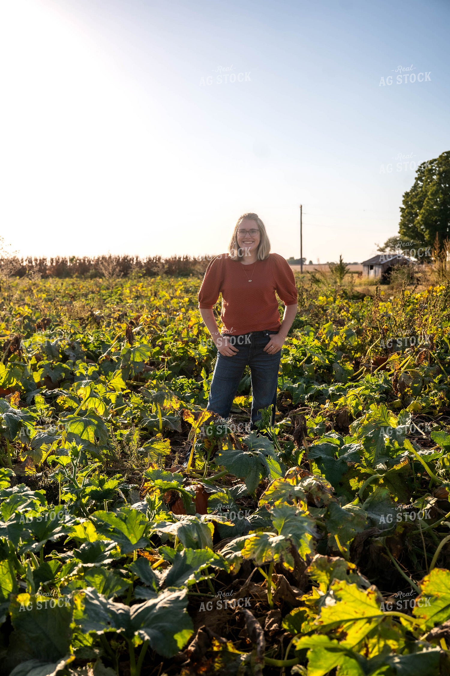 Farmer in Pumpkin Patch 115856