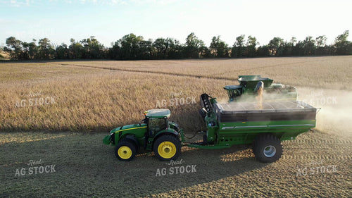 Unloading Soybeans on the Go 65613