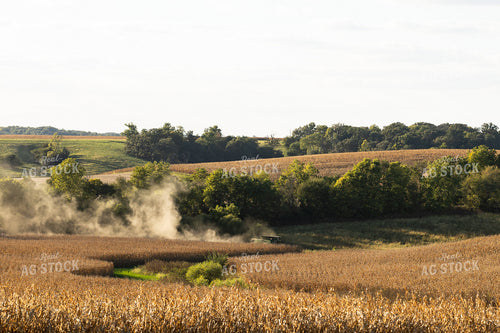 Corn Harvest 215137