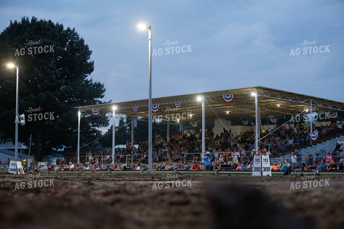 Grandstand at the Fair 295165