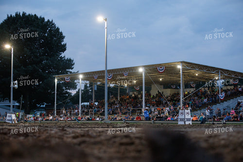 Grandstand at the Fair 295165