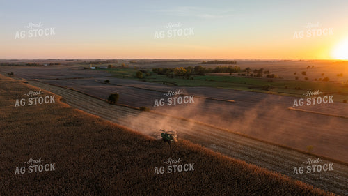 Corn Harvest 274009