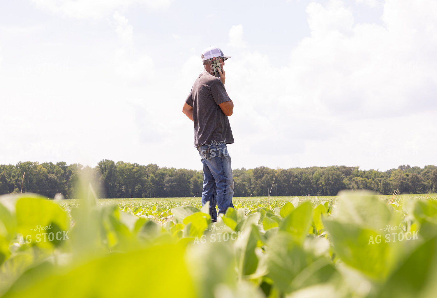 Farmer on Phone 79848