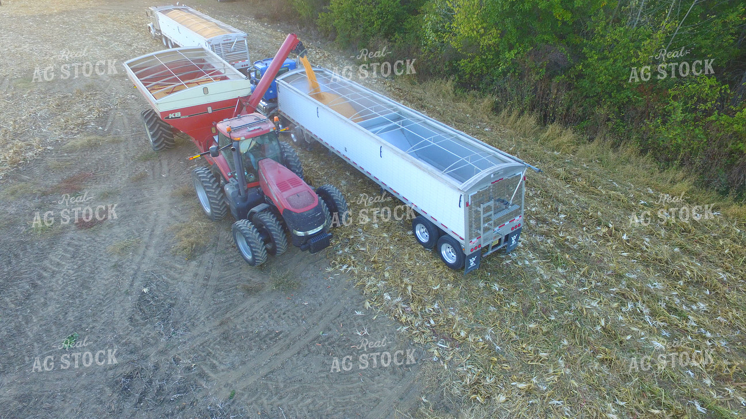 Grain Cart Unloading Corn into Semi 85039
