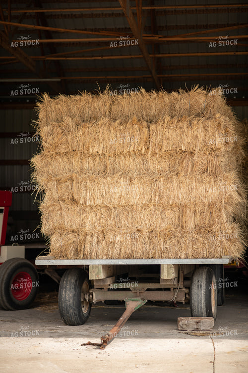 Hay Bales on Trailer 76746