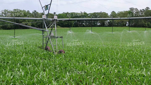Pivot Irrigation System 79454