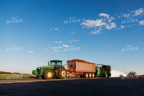 Storing Silage 152148