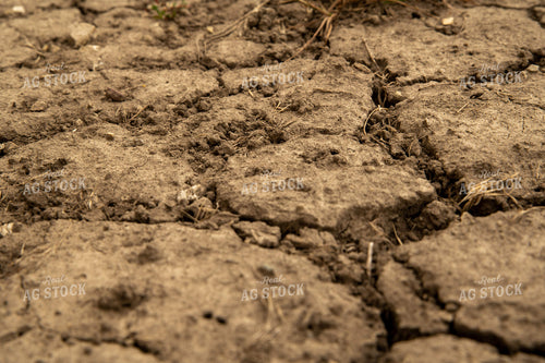 Dry Soil 25982