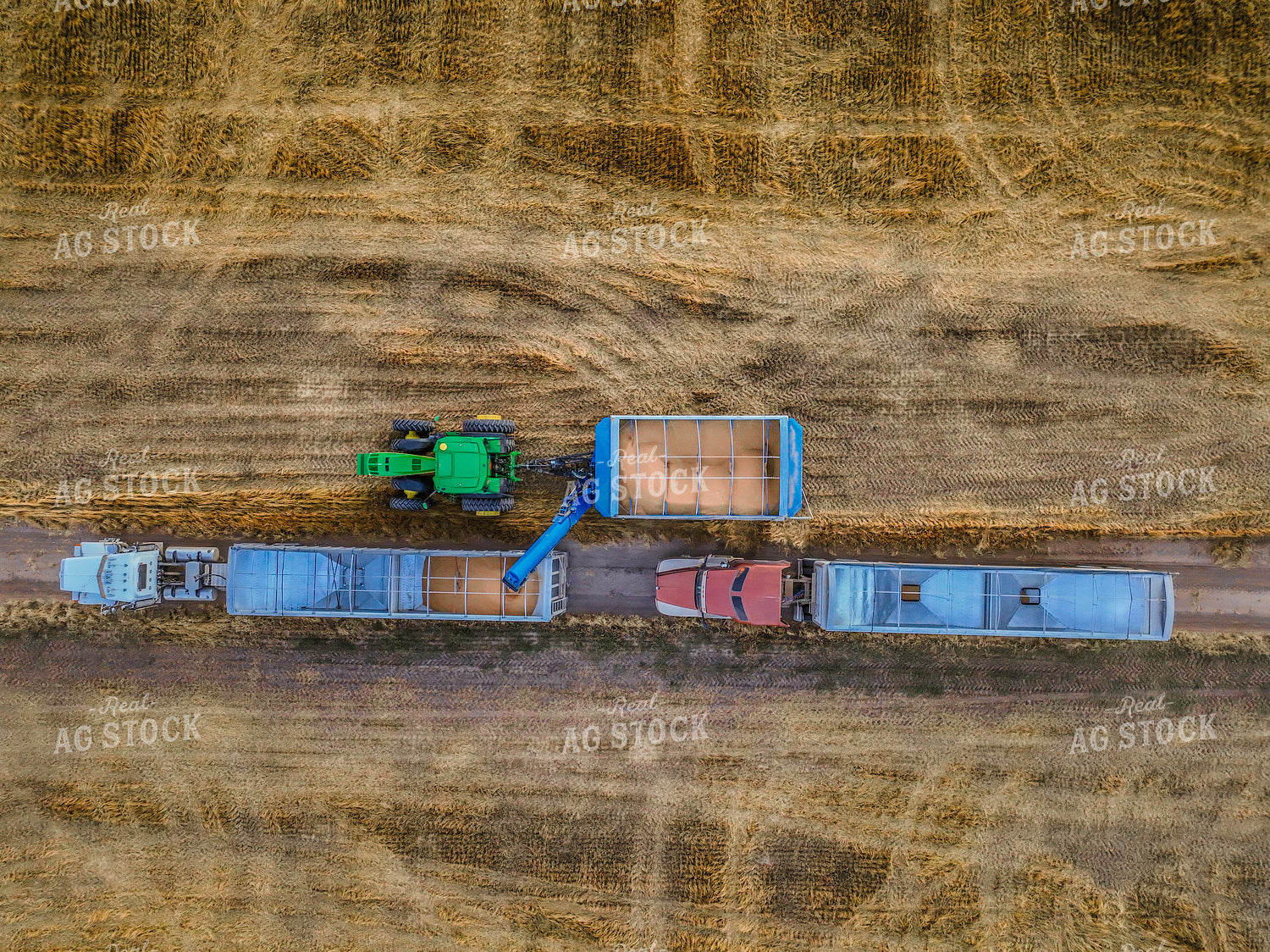 Overhead of Wheat Harvest 199003