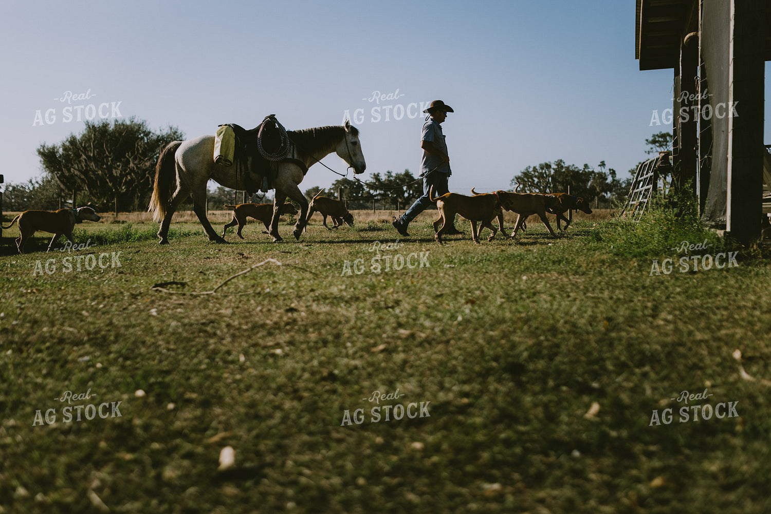 Rancher and Horse 7307