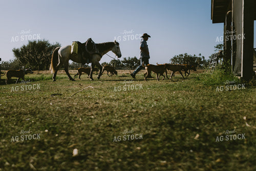 Rancher and Horse 7307