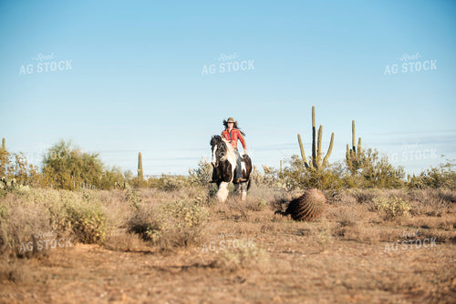 Rancher on Horseback 69027