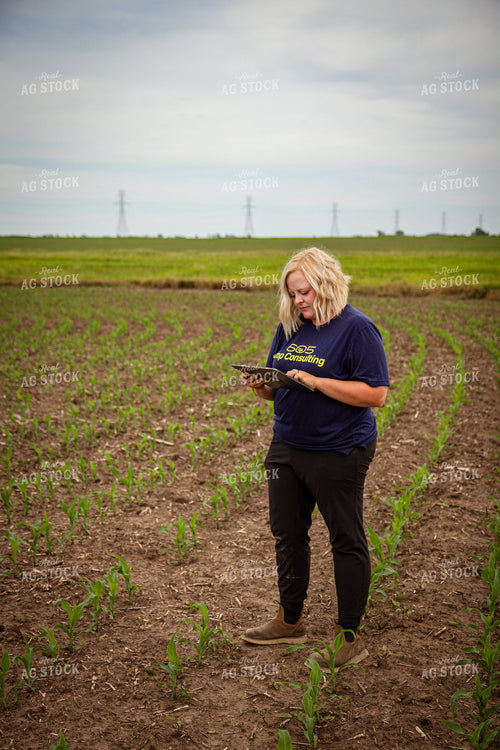 Female Agronomist Scouting Field 67748