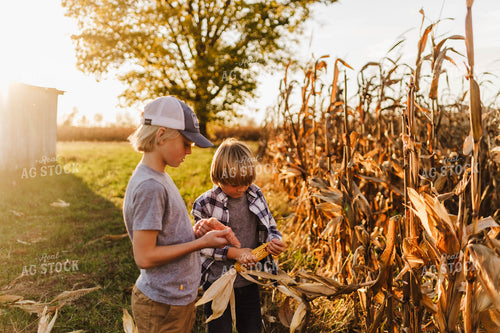 Farm Kids Holding Ears of Corn 115124