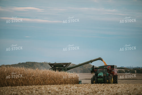 Combine Unloading Corn into Grain Cart 6936