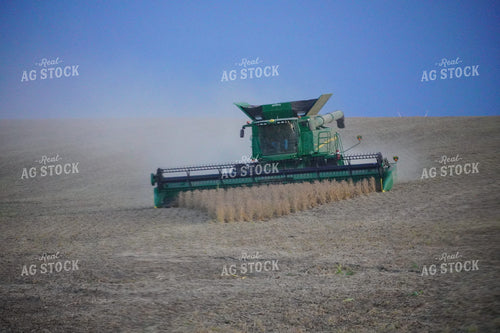 Combine Cutting Soybeans 65013