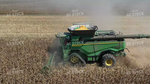 Corn Harvest 79512