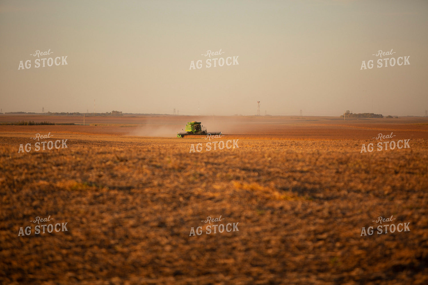 Harvest 1715