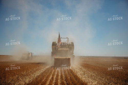 Baling Straw 152174