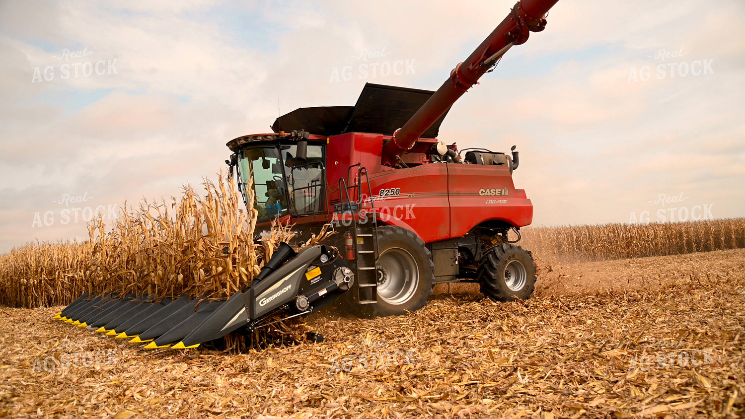 Combine Harvesting Corn 25598