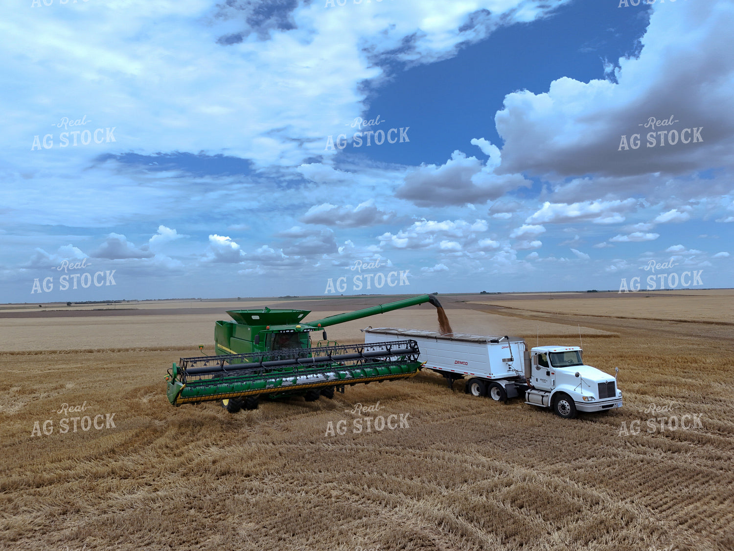Wheat Harvest 239279