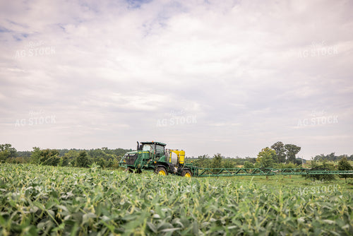 Spraying Beans 270312