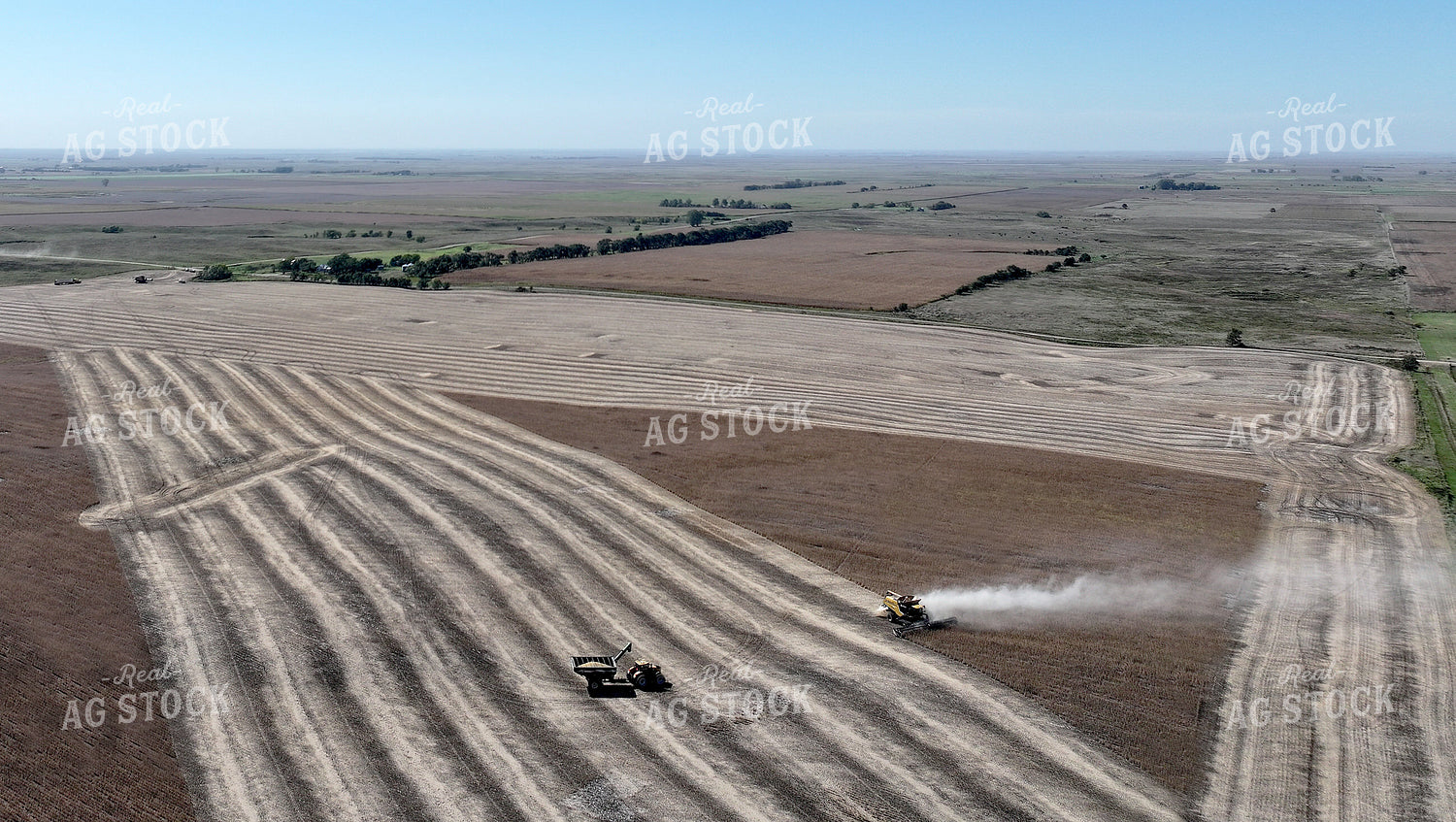 Soybean Harvest 141409