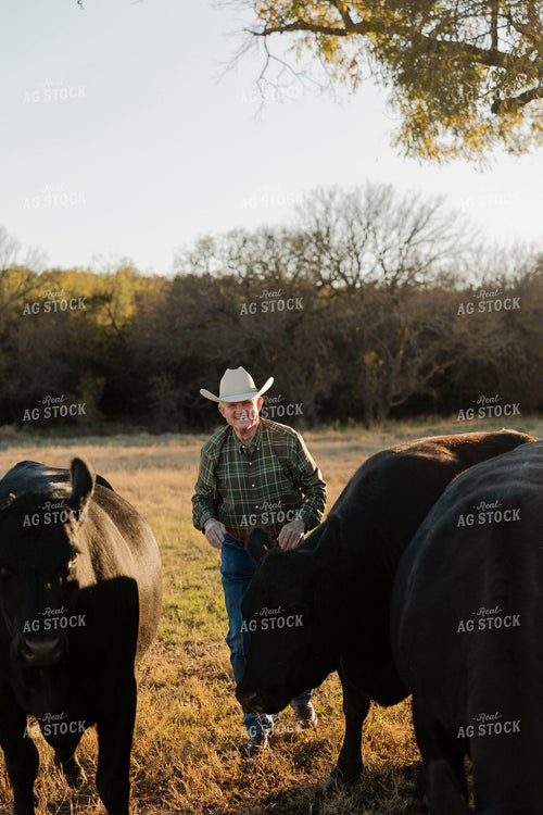 Rancher Checking Cattle 205159