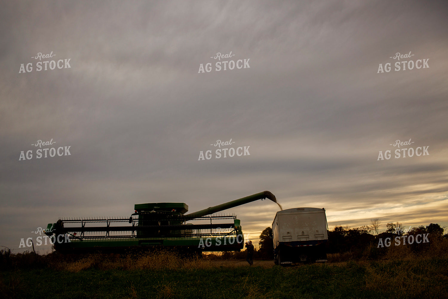 Harvest 2628