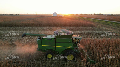 Soybean Harvest 65487