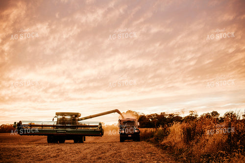 Harvest 2656