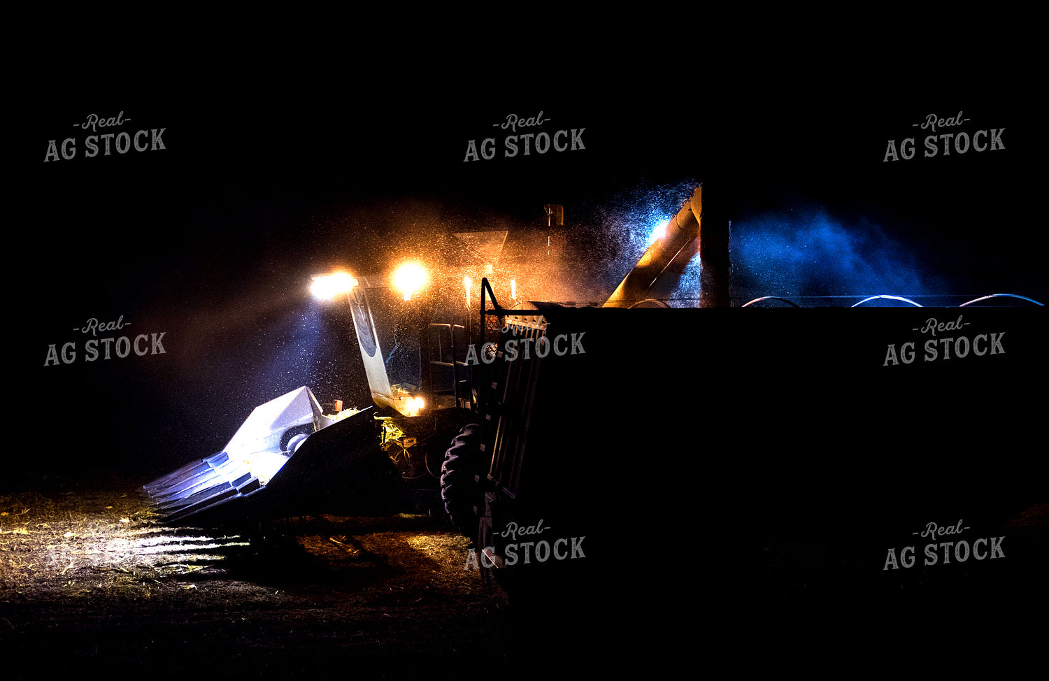 Harvest at Night 154012