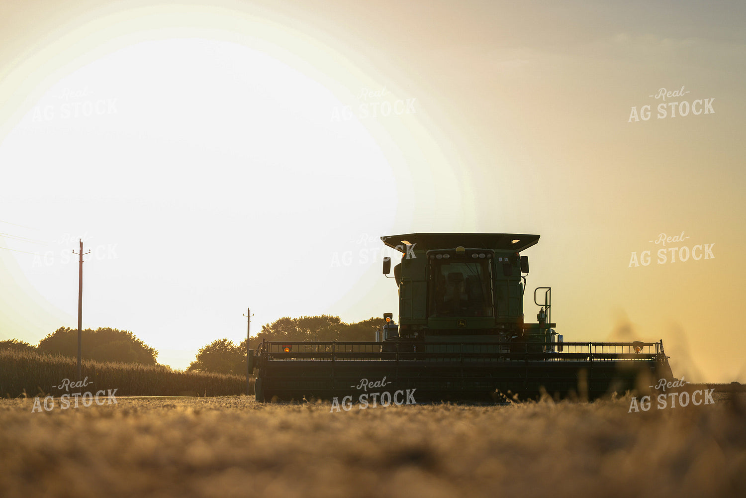 Soybean Harvest 160405