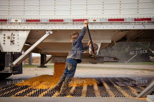 Farm Kid Helping Dump Corn into Grain Pit 268099