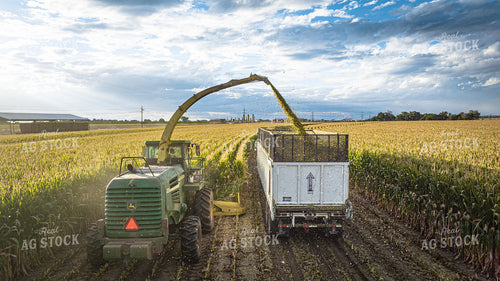 Silage Harvest 56546