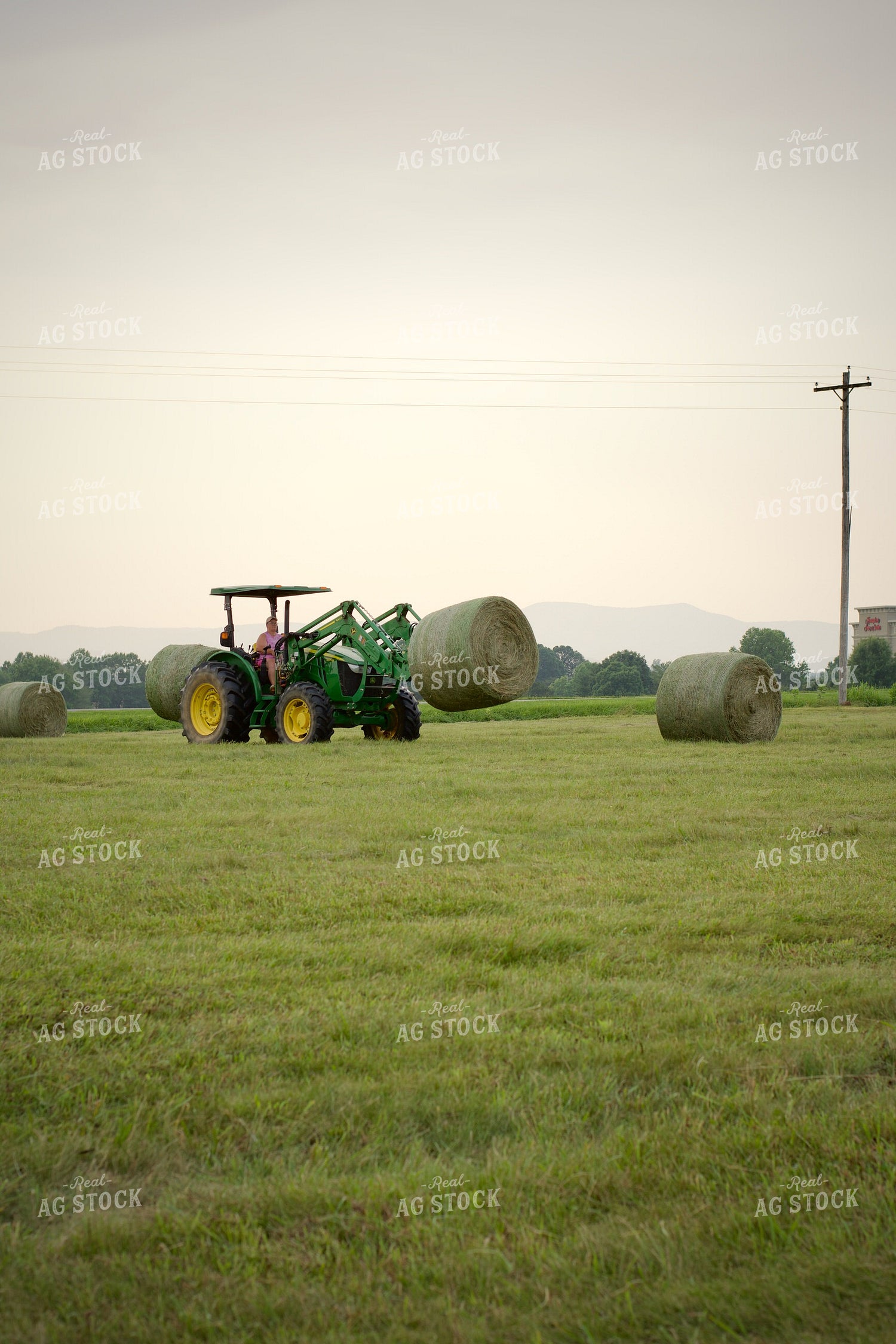 Putting Up Hay 251173