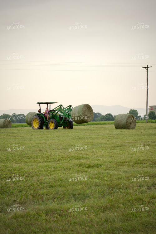 Putting Up Hay 251173
