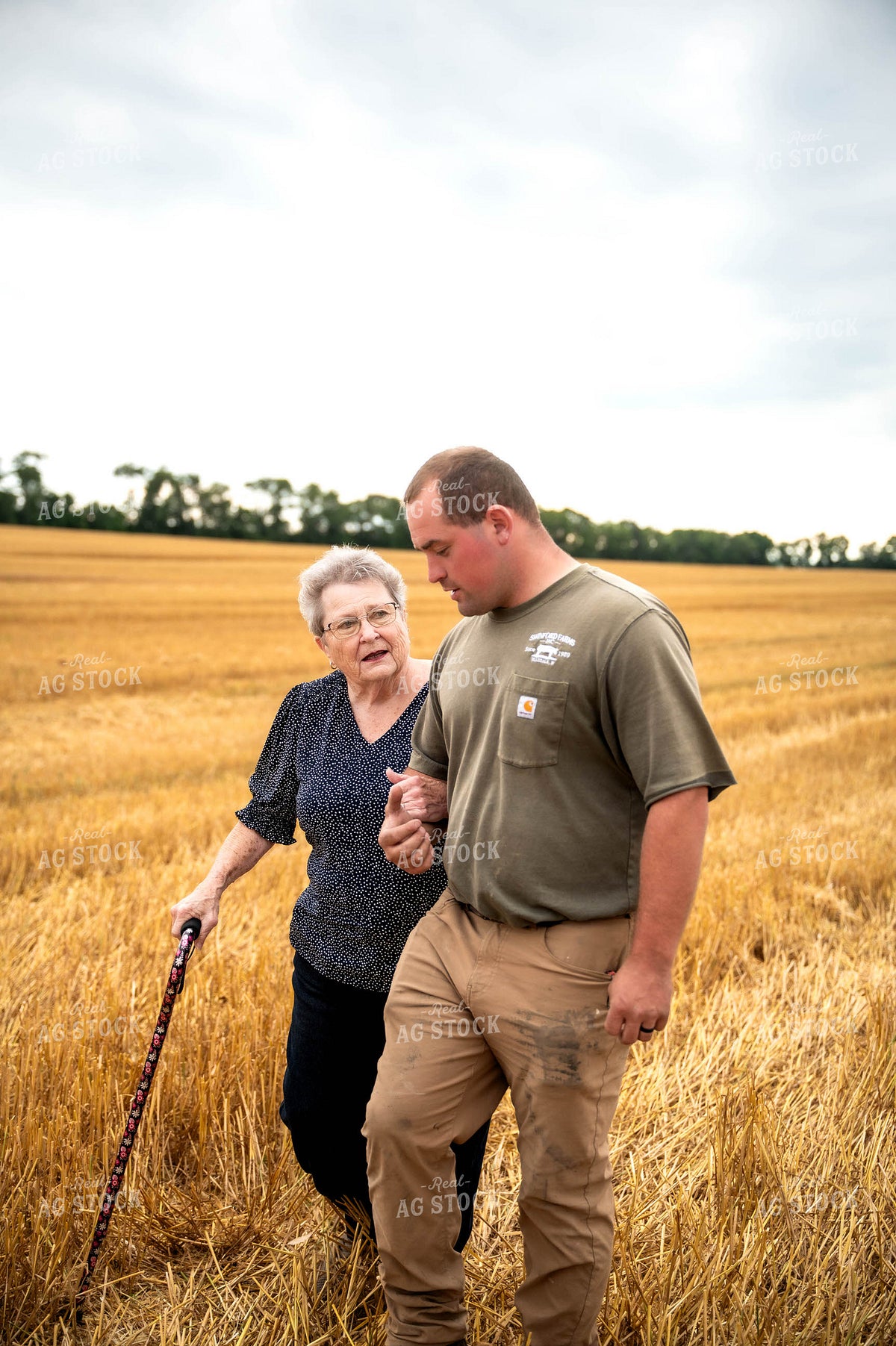 Farm Family During Wheat Harvest 115975