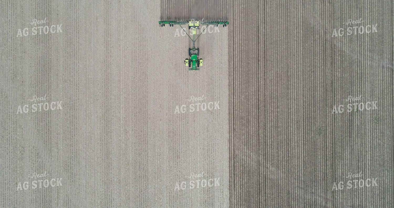 Planting 167005