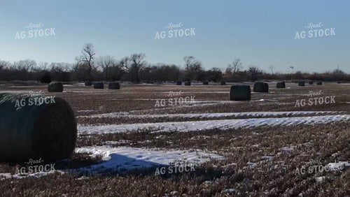 Snowy Hay Field 239150