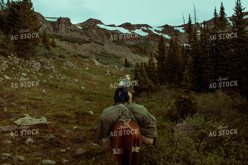 Riding Horse in Mountains 58012