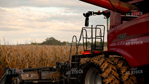 Combine Harvesting Corn 25652