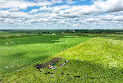 Cattle Pen in Pasture 141347