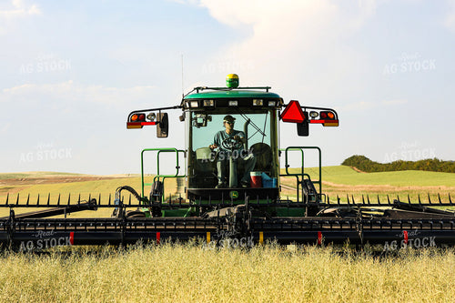 Swathing Hay 187099