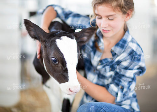 Farm Kid with Holstein Calf 55304
