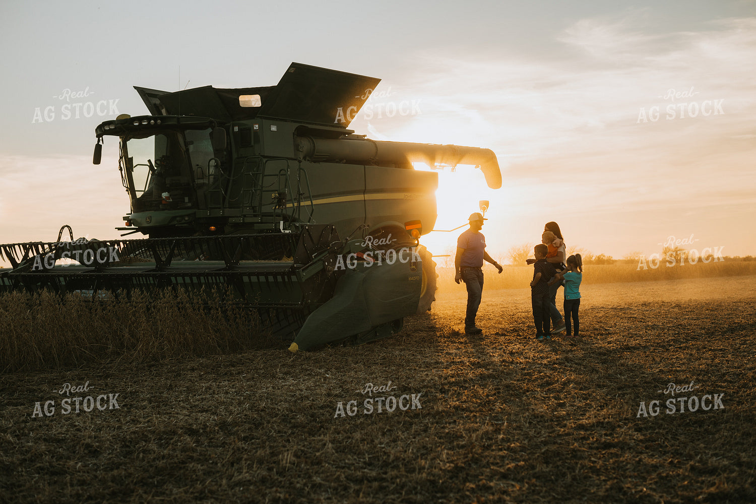Farm Family in Soybean Field at Dusk 6966