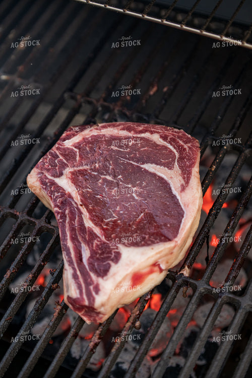 Meat on the Grill 76634