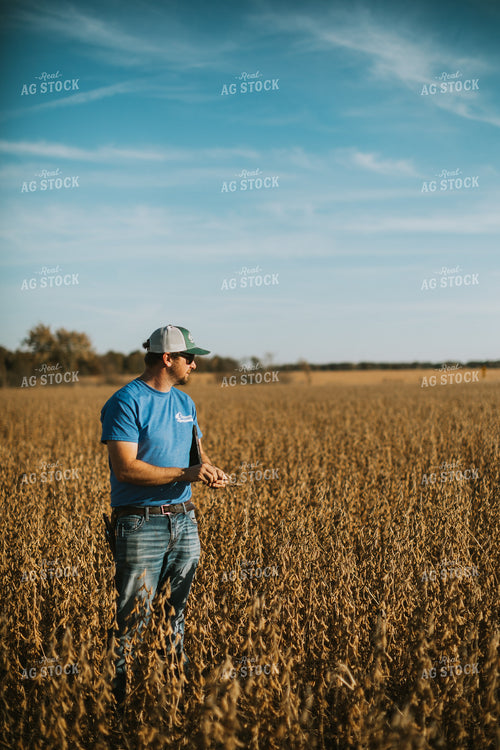 Farmer Examining Soybean Pods 7160
