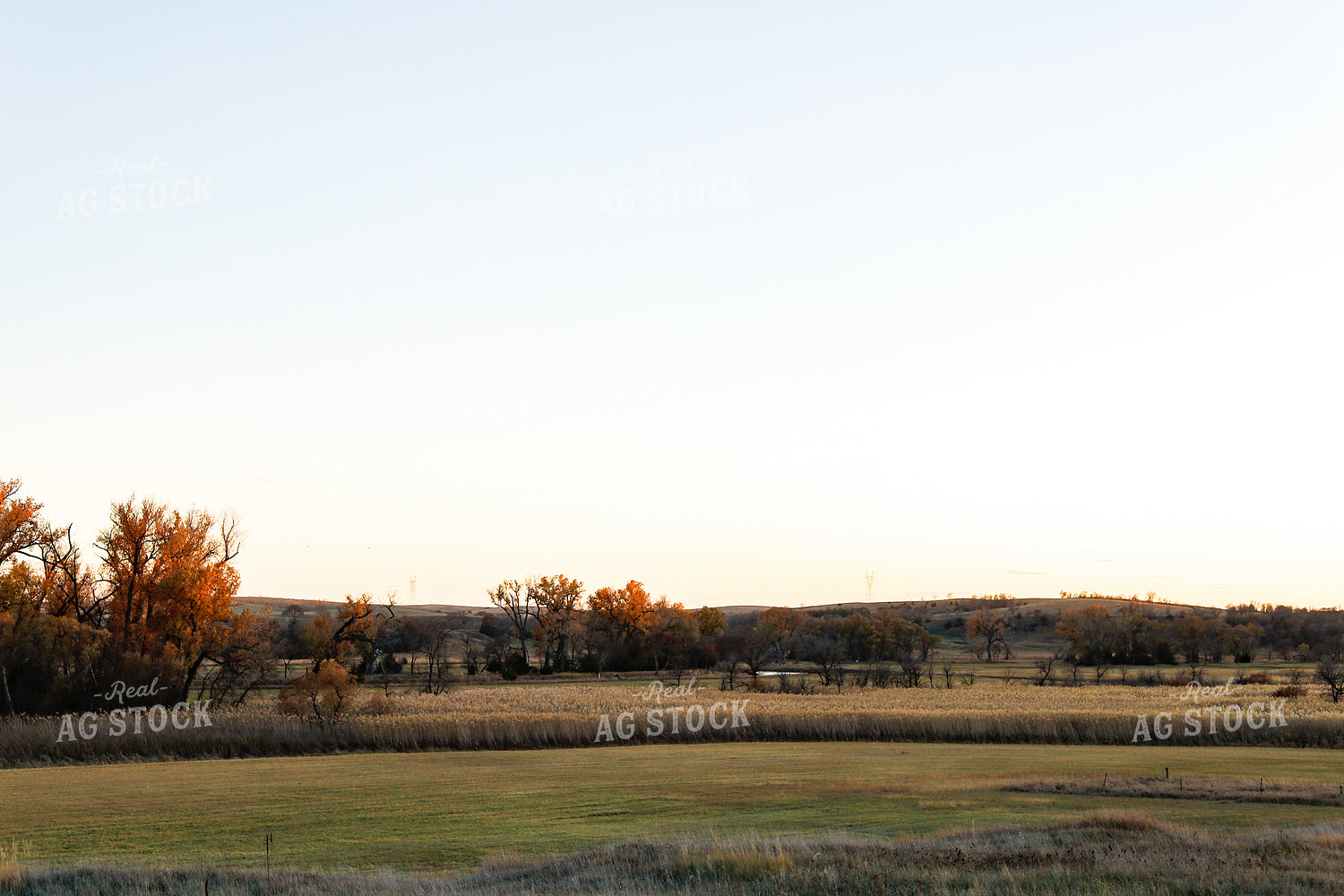 Rural Landscape 123005